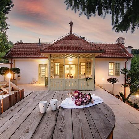 Vila Vilma Vineyard Cottage Lendava Dış mekan fotoğraf
