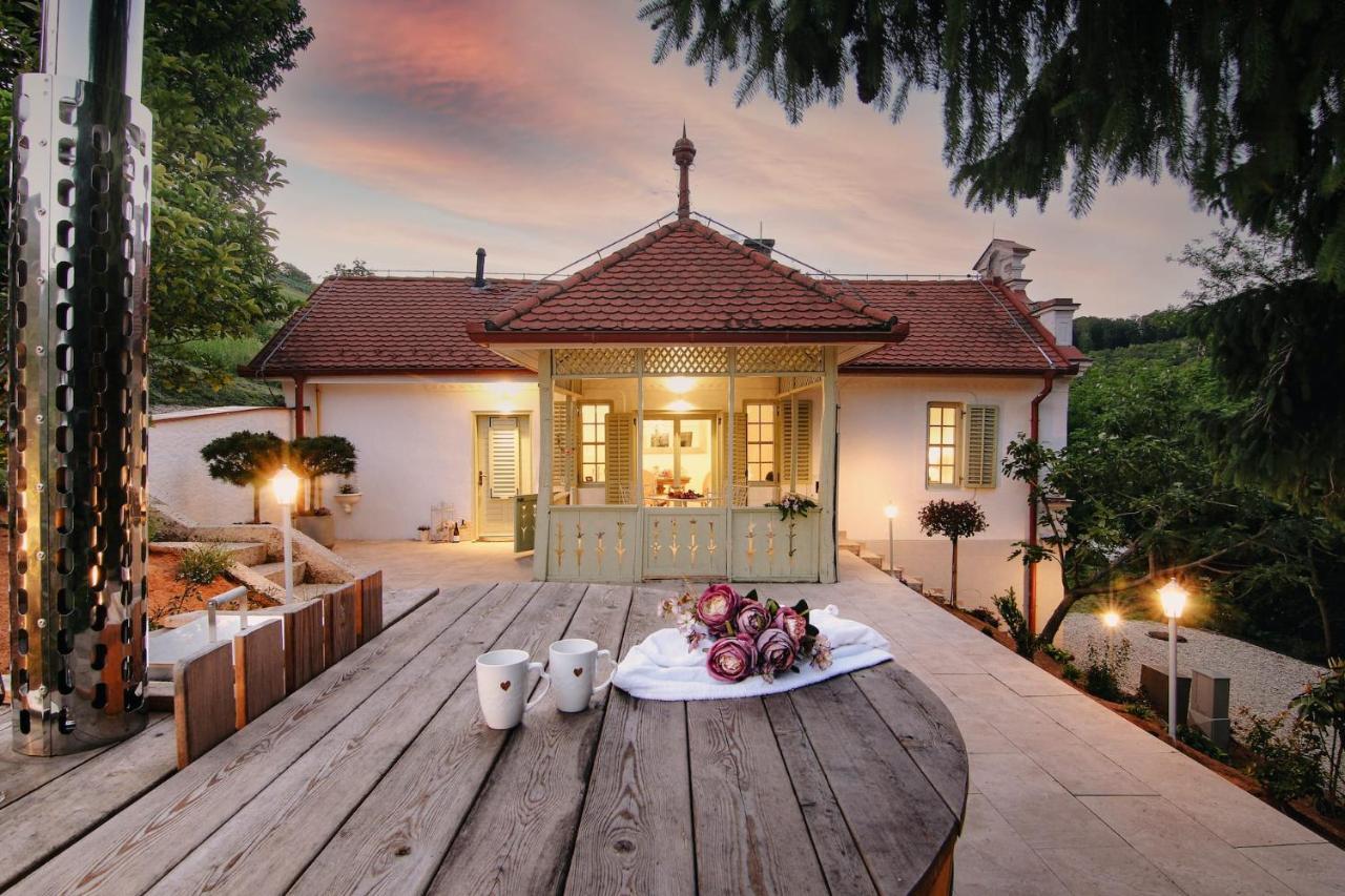Vila Vilma Vineyard Cottage Lendava Dış mekan fotoğraf