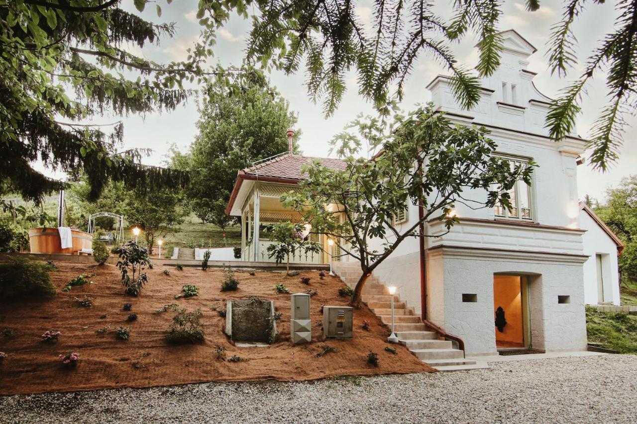 Vila Vilma Vineyard Cottage Lendava Dış mekan fotoğraf