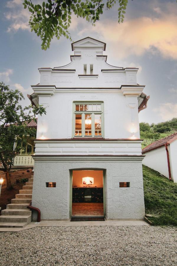 Vila Vilma Vineyard Cottage Lendava Dış mekan fotoğraf